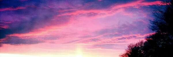 shapsio Profile Banner