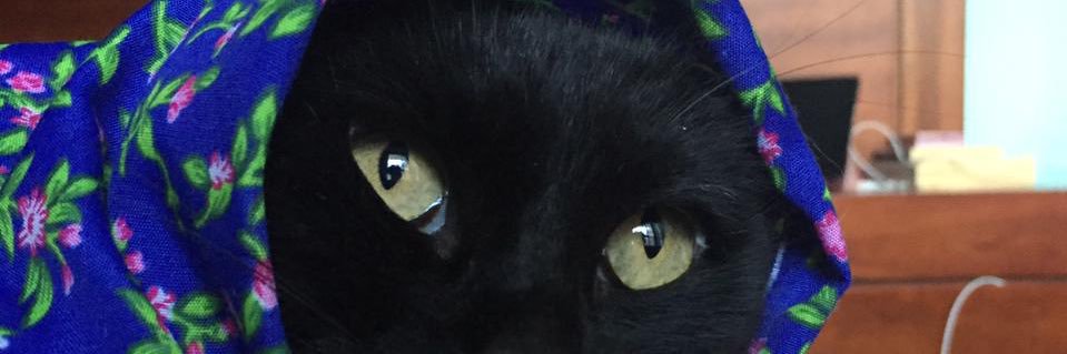 rrrodrimeza's profile banner image
