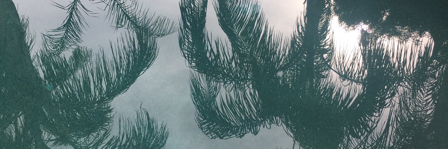 caseyleighwahl's profile banner image