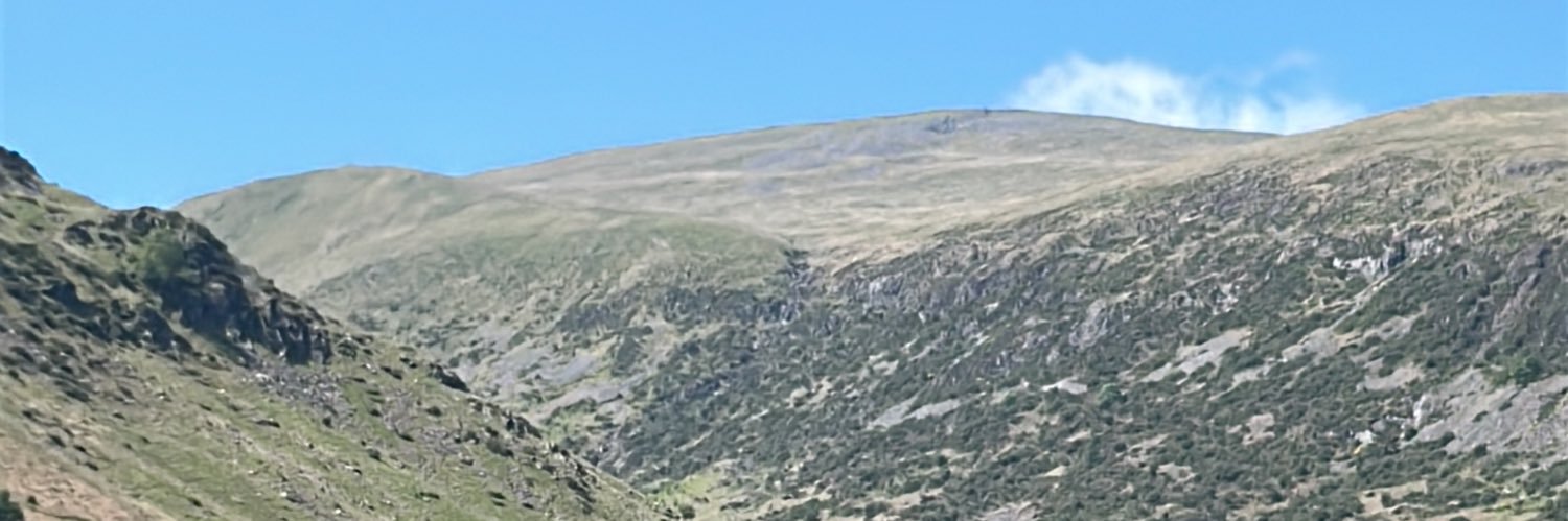 TONYthepest's profile banner image