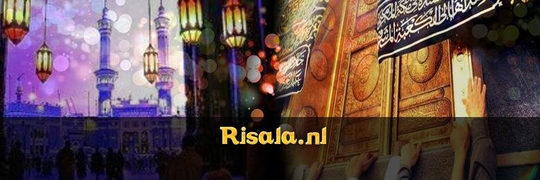 RisalaNL's profile banner image