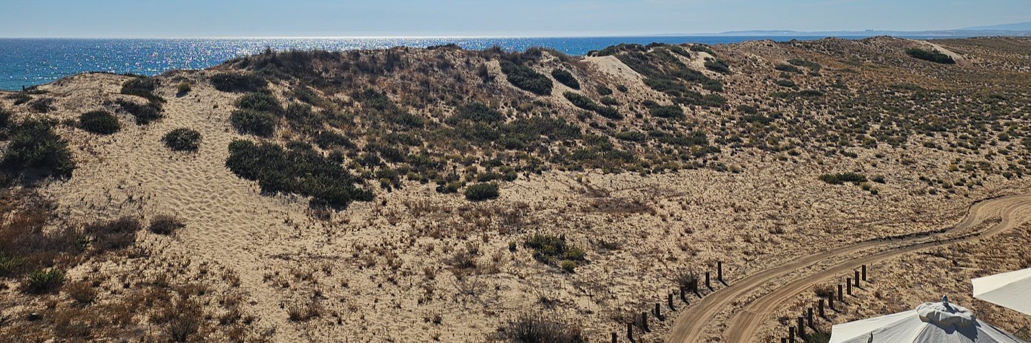 Harry Maxwell banner