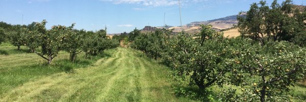 wacider Profile Banner