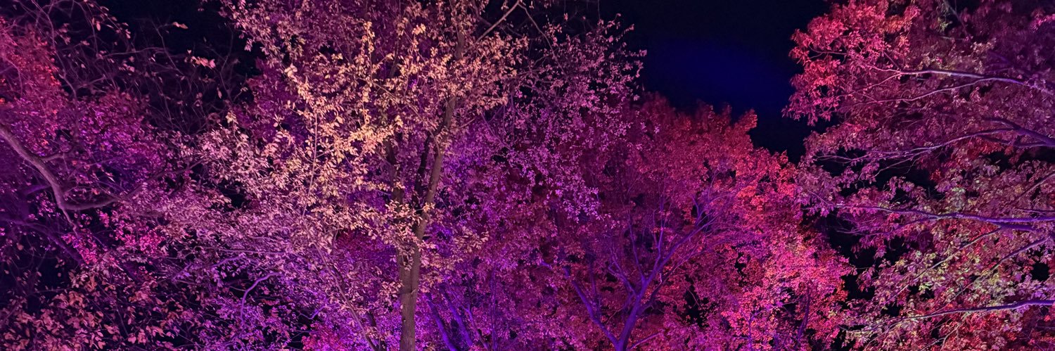 chrisrorie's profile banner image