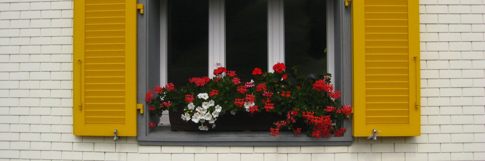 ysurec's profile banner image