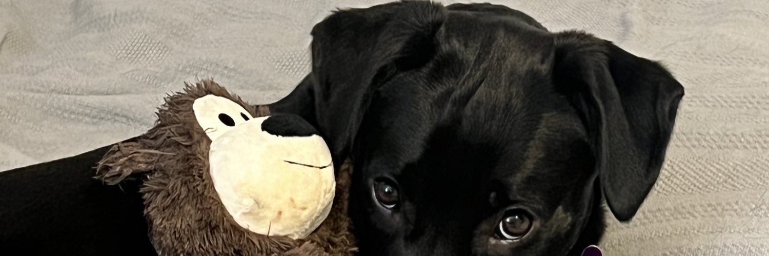 yojermey's profile banner image