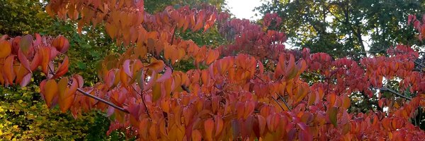 kkcorby14 Profile Banner