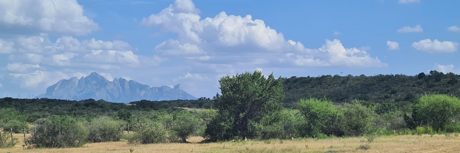 gonrolo11's profile banner image