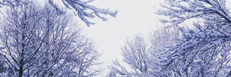 Photoman02122's profile banner image