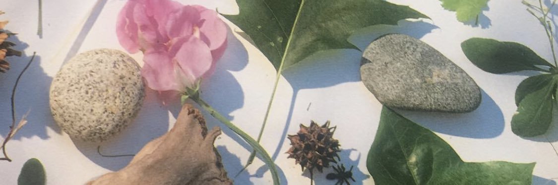 fllowergirll's profile banner image