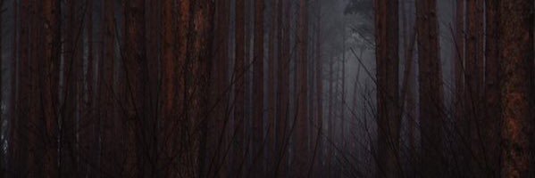 ___ASCE's profile banner image