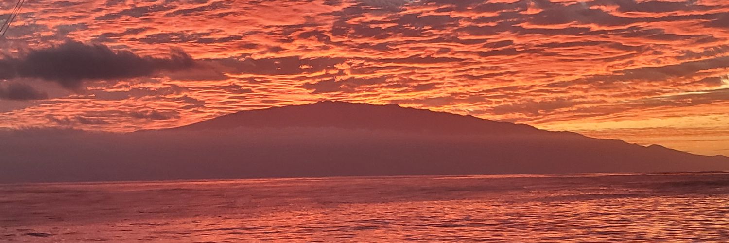 DamonJohanson's profile banner image