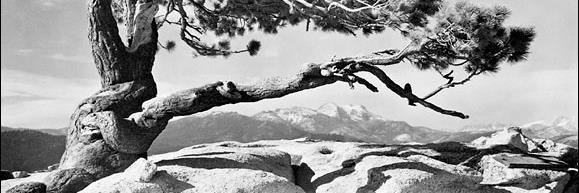 PlCTURE_EARTH's profile banner image