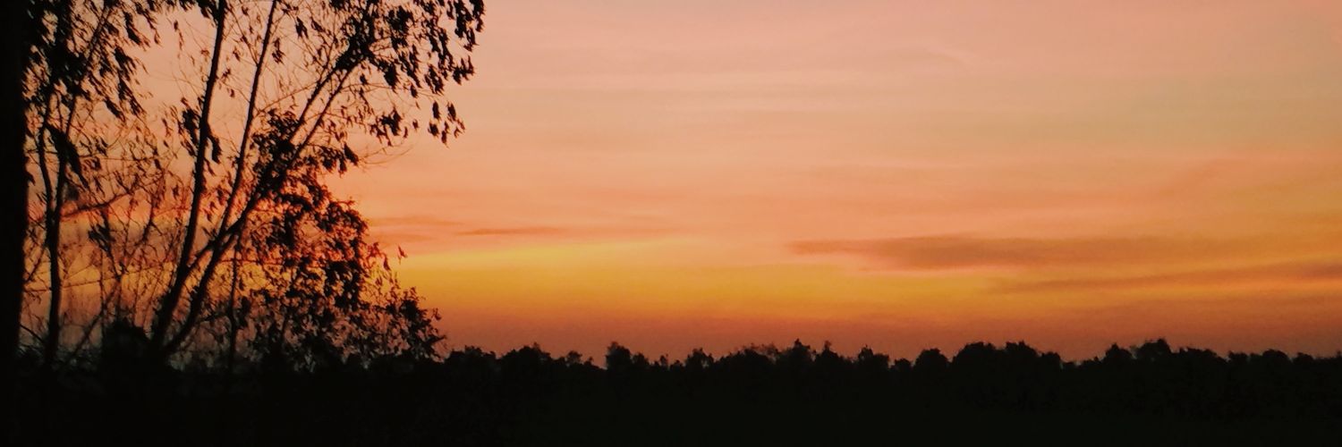 ayapriyanka's profile banner image