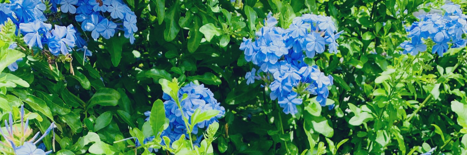 kmbowman13's profile banner image