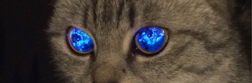 EmGravee's profile banner image
