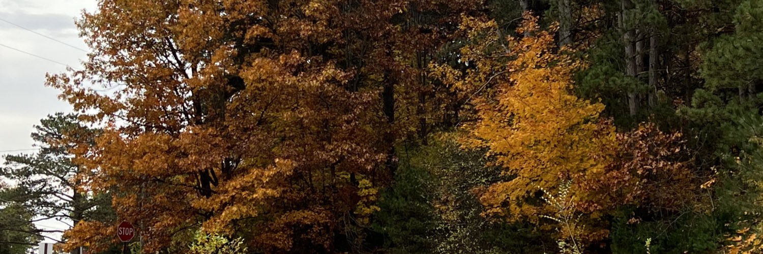 _AspenKate's profile banner image