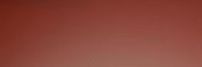 teronicaalyon's profile banner image