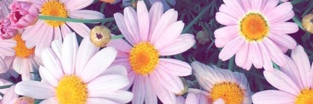 clarichiara2's profile banner image