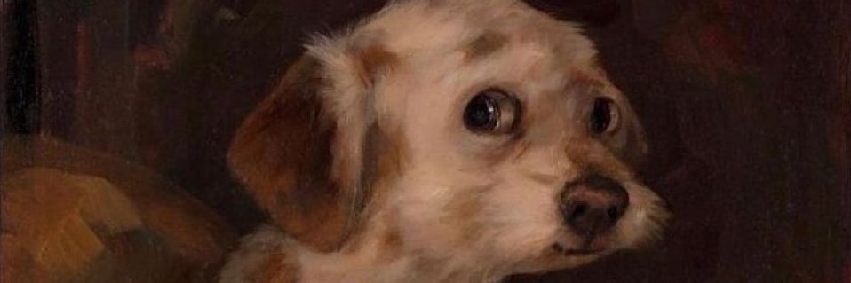 r_beauds's profile banner image