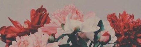 Jetsy_v's profile banner image