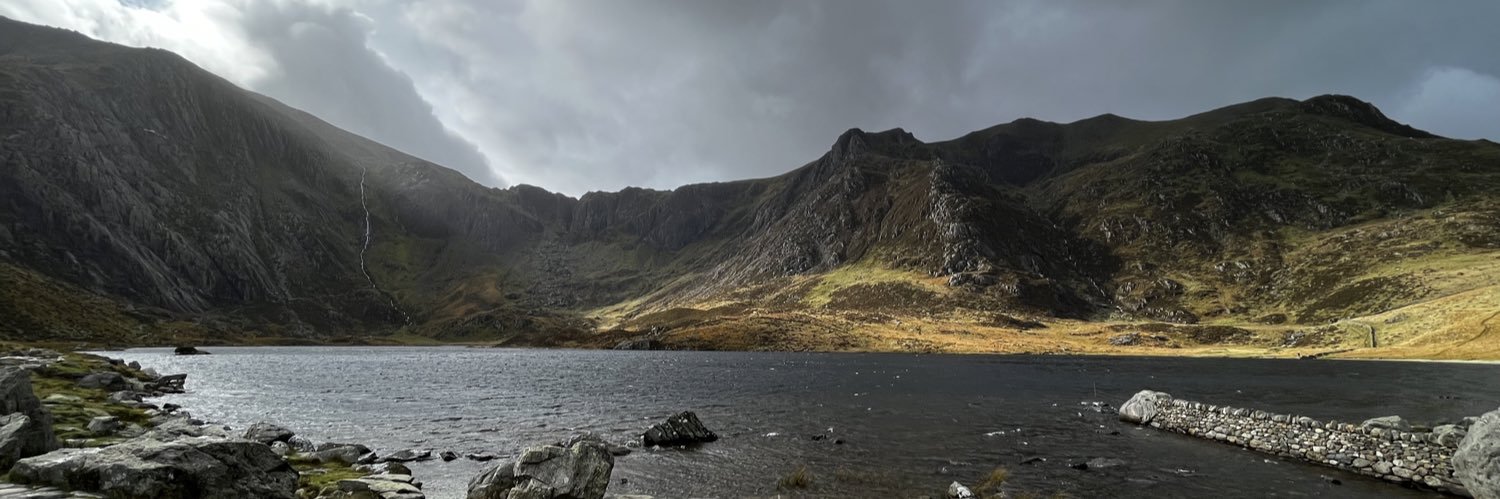 Tom Cracknell banner