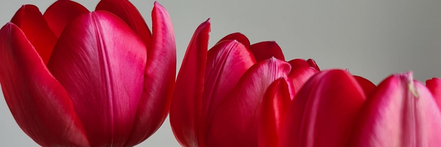 irmiblue's profile banner image