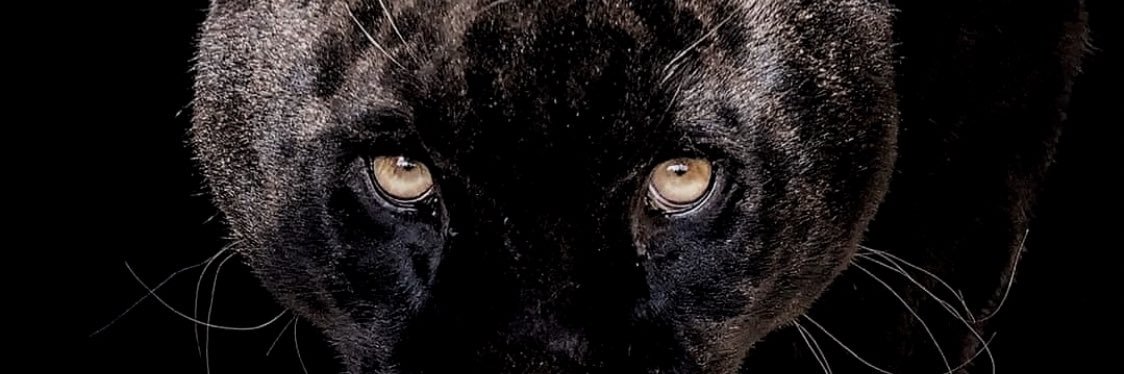 baibaba11's profile banner image