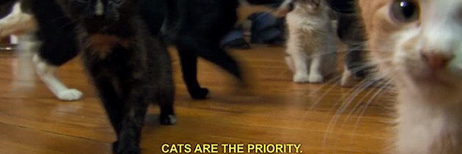 dazedkitty's profile banner image