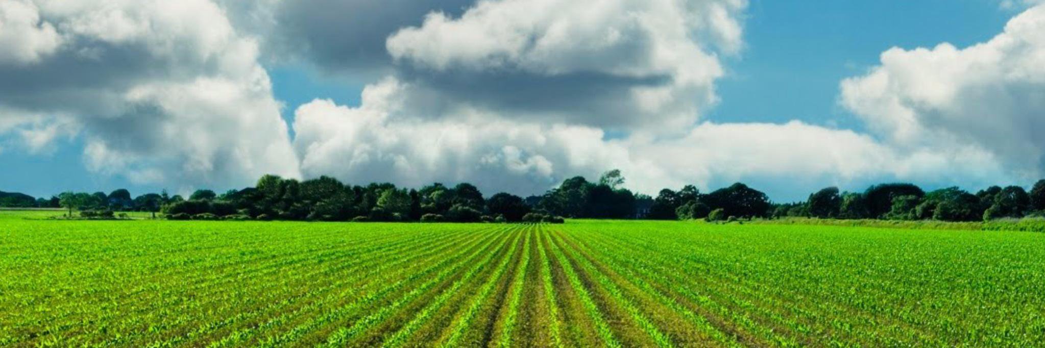 Farm Field Table banner