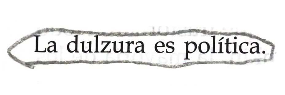 _arrebol____'s profile banner image