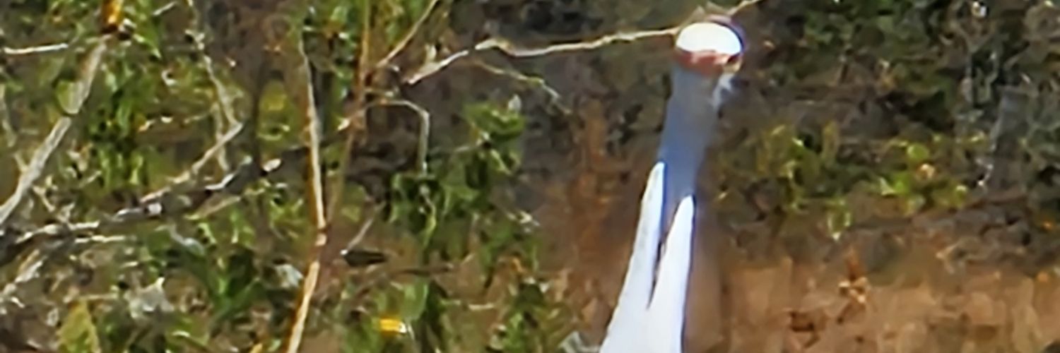 mivigoam's profile banner image