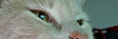 Corbinjs19's profile banner image