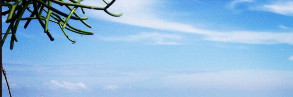 sessile Profile Banner