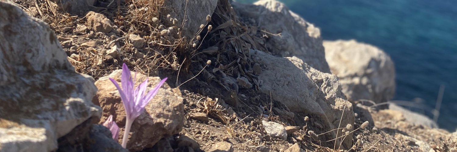 safiyeeeeee's profile banner image