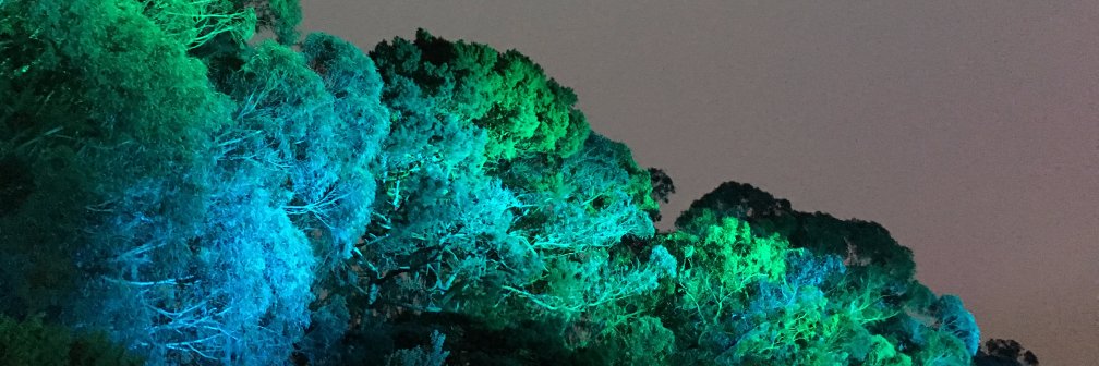 AlexMakSF's profile banner image
