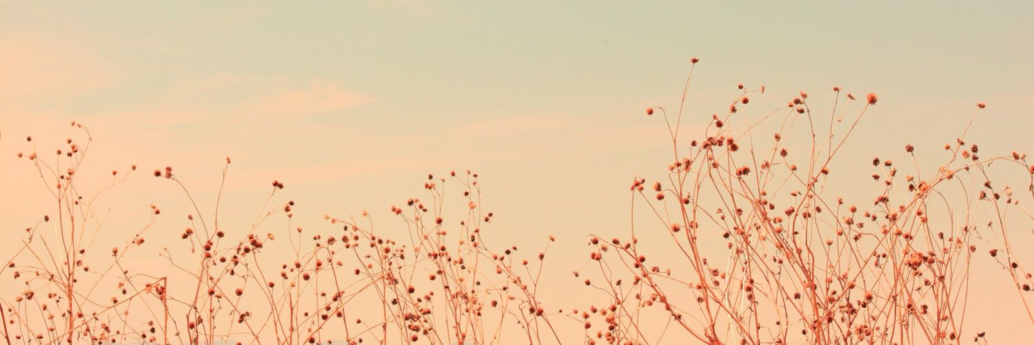 Maria Ana P Mesquita banner