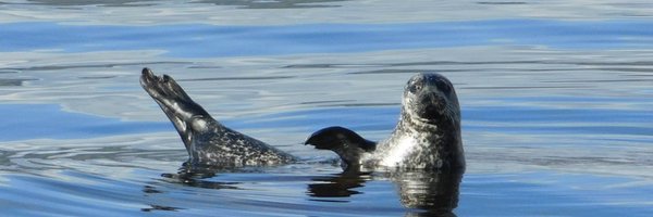 CalumCorral Profile Banner