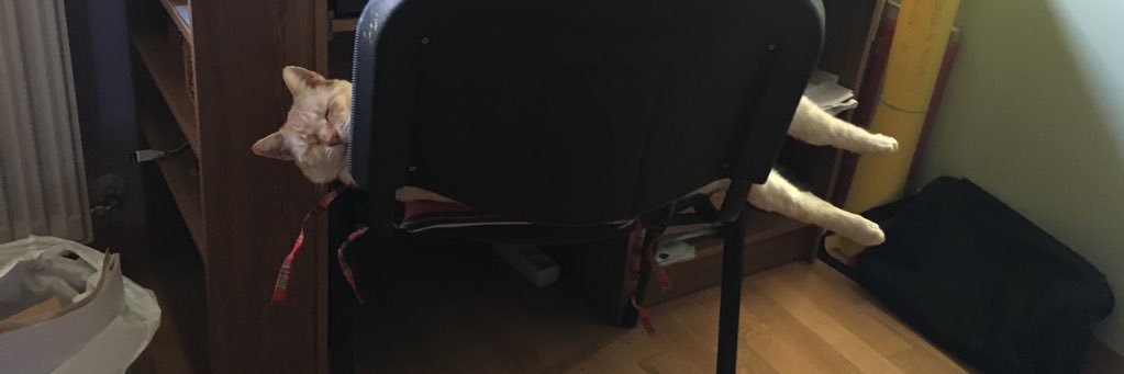 zurruto's profile banner image
