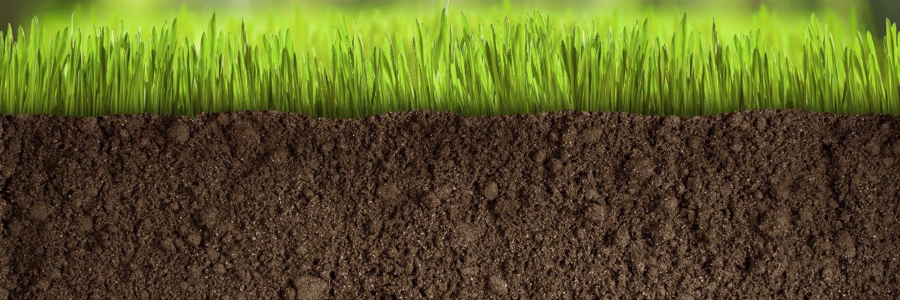 The Healthy Turf Experts banner