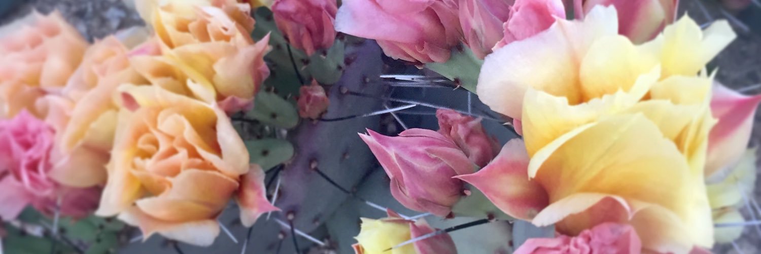 j9mason's profile banner image