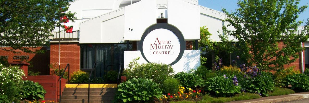 AnneMurrayCentr's profile banner image
