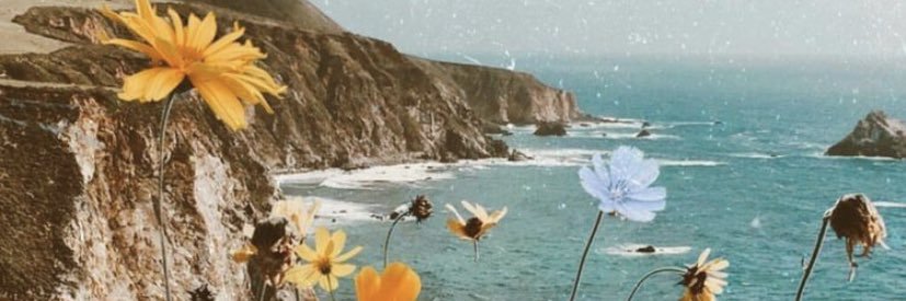 Alexising_'s profile banner image