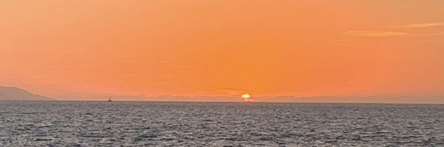 Maridisago's profile banner image