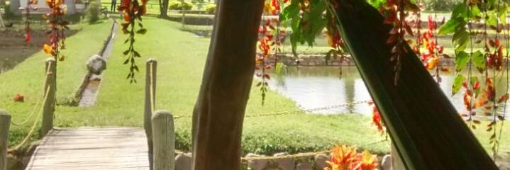JEANNETTEROSANA's profile banner image