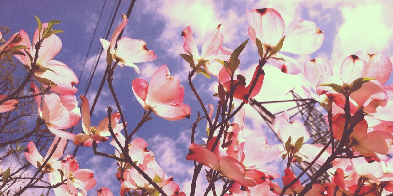 h_brownmiller's profile banner image