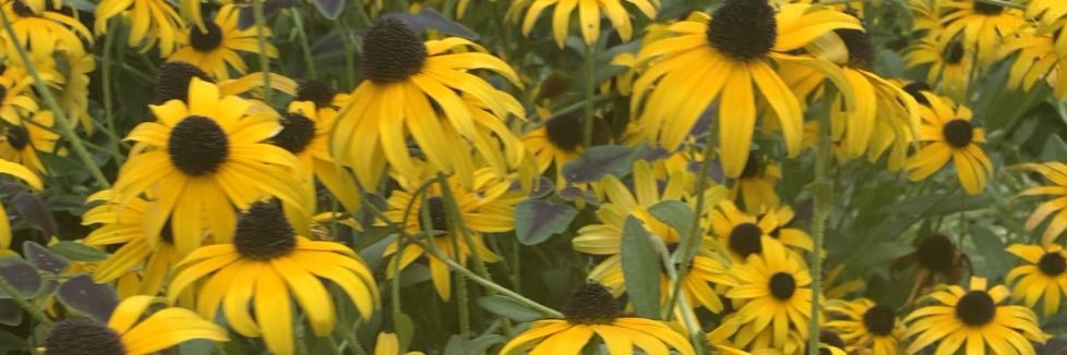 slee_luv's profile banner image