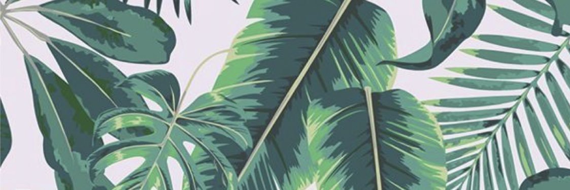 b_schwagg's profile banner image