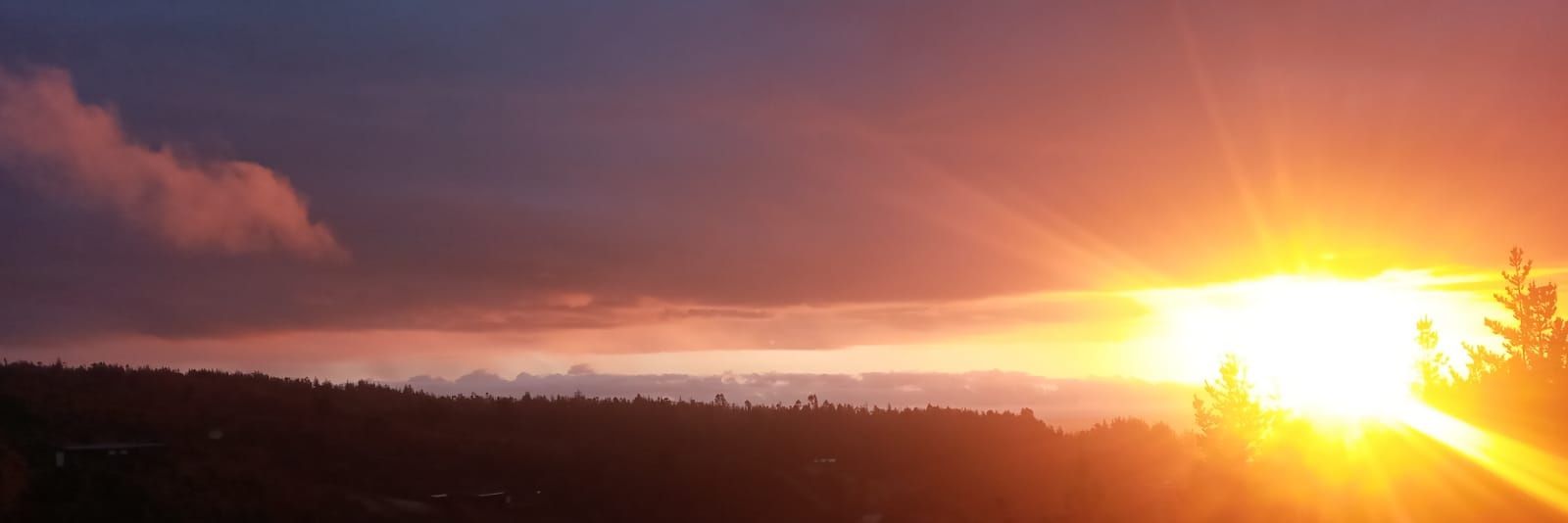 LSRS1234's profile banner image