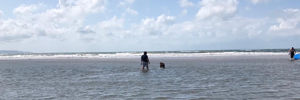 delta Romain bonte banner